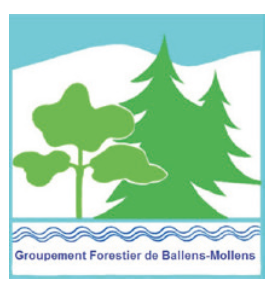 Coupe de bois le long de la route communale Yens-Bière