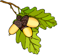 graphique feuille de chêne
